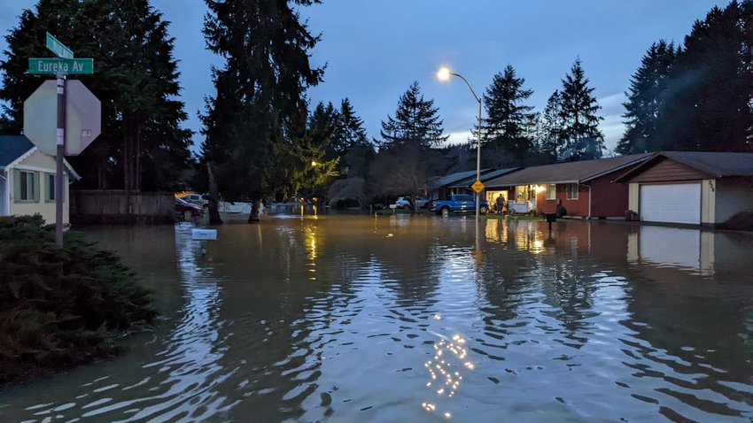 Noel Avenue floods in Centralia Friday night.
