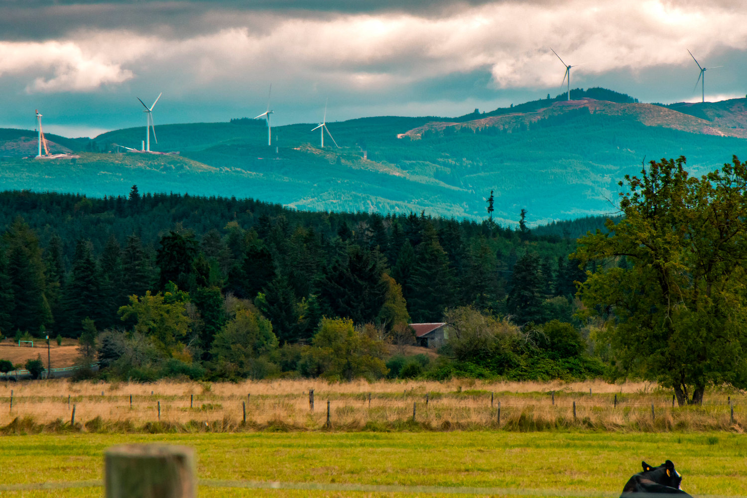 The Skookumchuck Wind Farm is seen from Big Hanaford Road in Centralia.