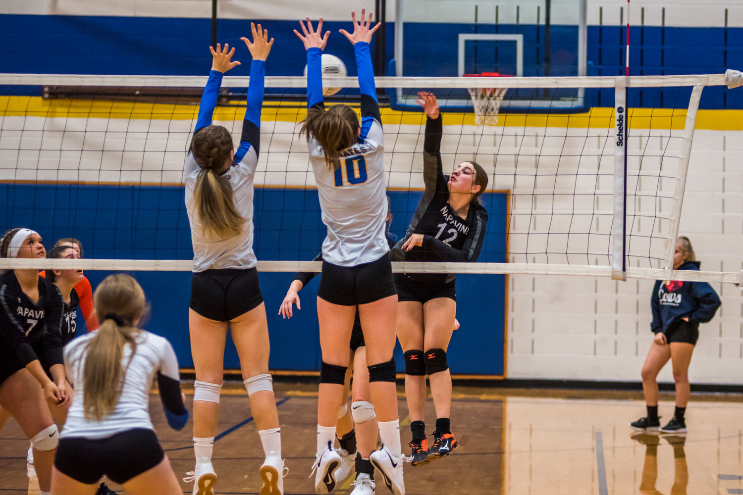 Conceit responsibility Venture Tuesday's Prep Volleyball: Pirates Persevere in Marathon Match | The Daily  Chronicle