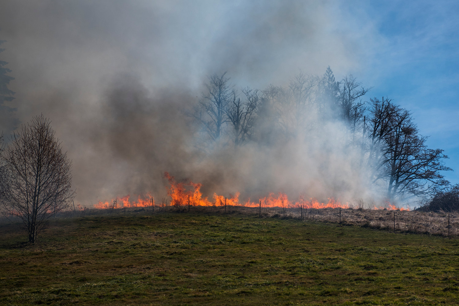 Fire sweeps across a field seen from Ajlune road in March in Mossyrock.