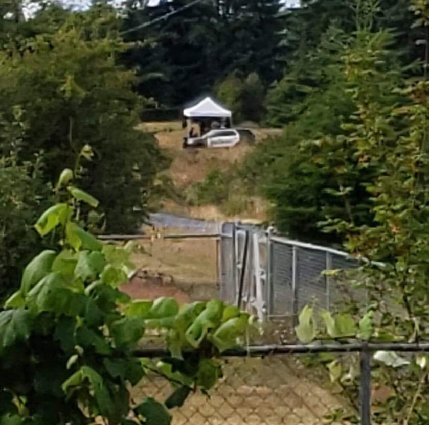 A Thurston County Sheriff's Office vehicle sits in a field near a tent on a property where deputies are investigating a new lead in the Nancy Moyer disappearance.