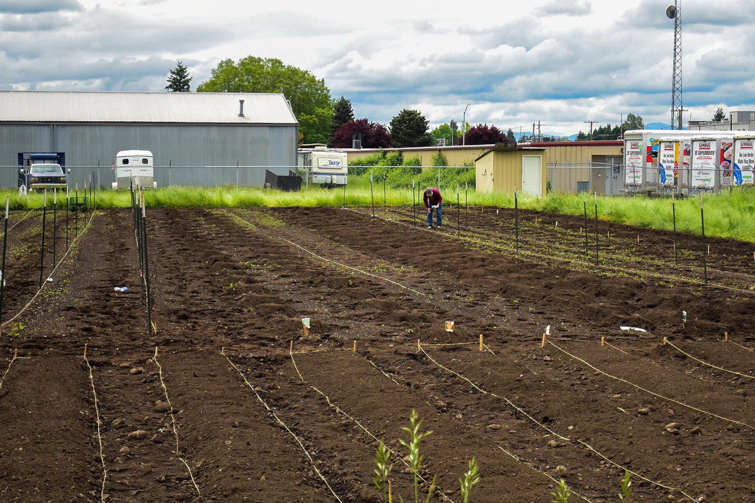 A volunteer works in the community garden at the Salvation Army in Centralia.
