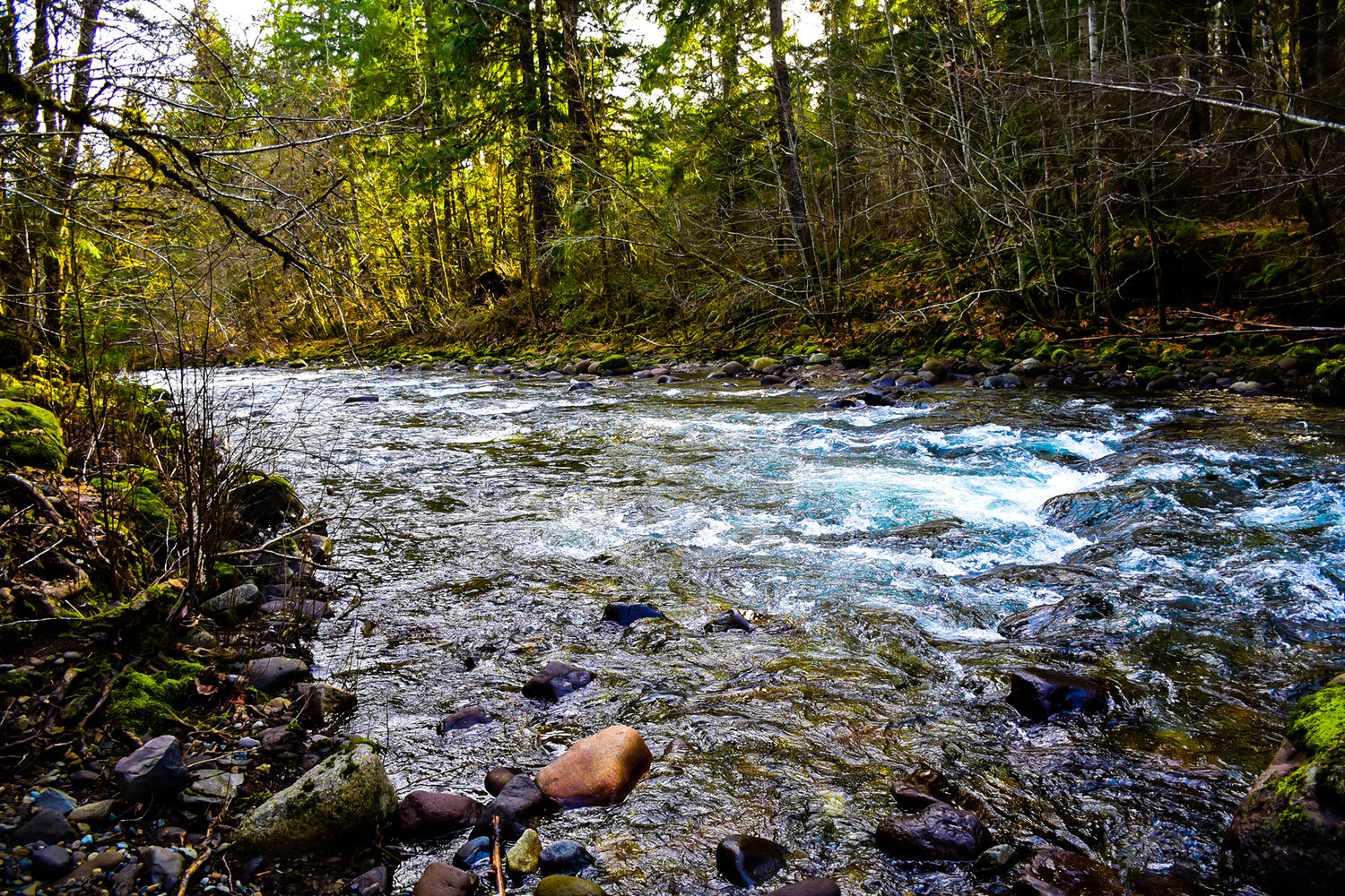 Skate Creek flows through Washington State Parks property in Packwood.