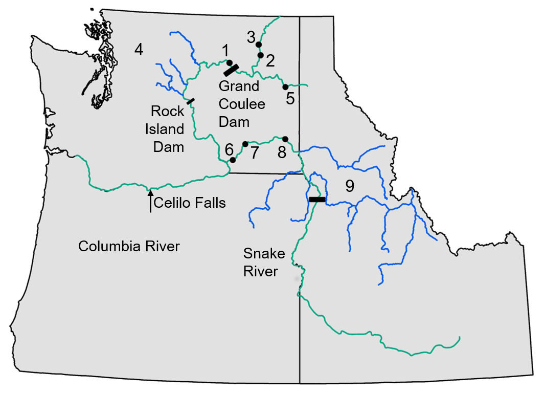 Chinook Fish Sites