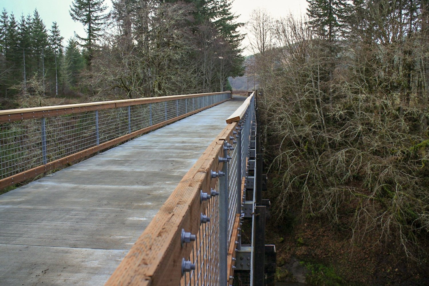 This photo of the recently completed bridge was taken by Chris Brewer and posted to the Ride the Willapa Facebook page. 