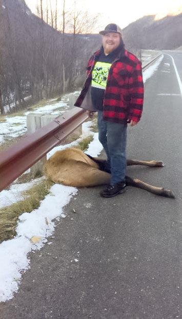 Joseph Dills is shown retrieving a poached elk from the side of Highway 504 near Coldwater Lake in the Loo-Wit unit on Nov. 27, 2015. The elk is believed to have been shot by Aubri McKenna without the required permit.