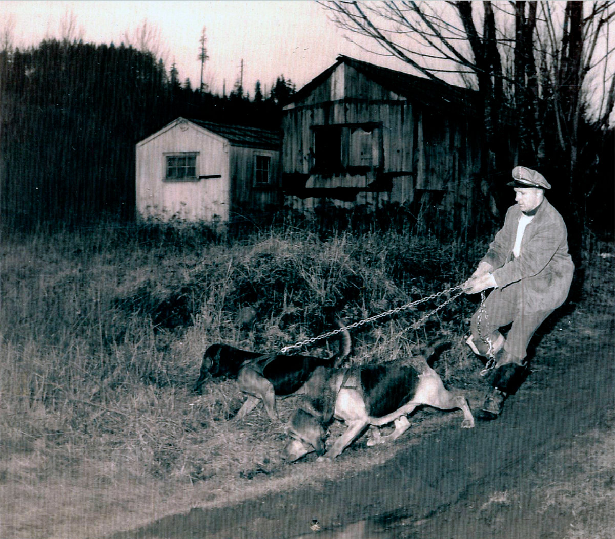 Chief Deputy Bill Wiester Sr. tracks with his bloodhounds in this 1963 photo.