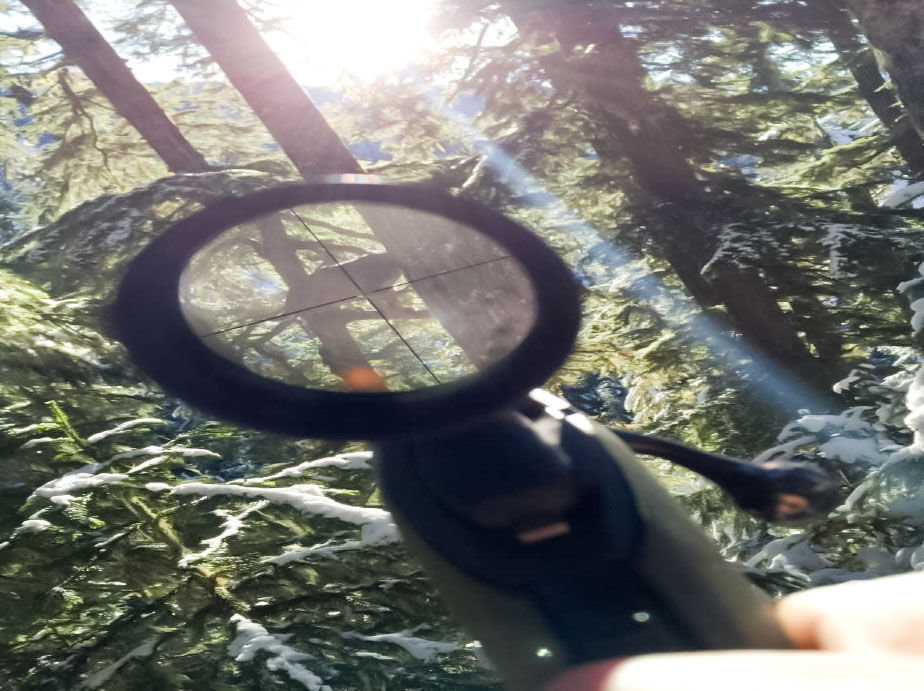 A rifle scope is used to get a better look at a bobcat that was allegedly illegally hunted using dogs near Forest Service Road 78 in Lewis County on Nov. 26, 2015.