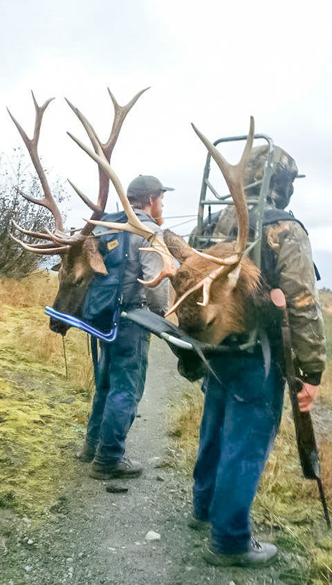 William Haynes (left) and Joseph Dills pose for a photo after poaching two bull elk near Coldwater Lake on Highway 504 headed toward Mt. St. Helens on Nov. 7, 2015. Only the ornamental heads were taken with both bodies left behind to waste.