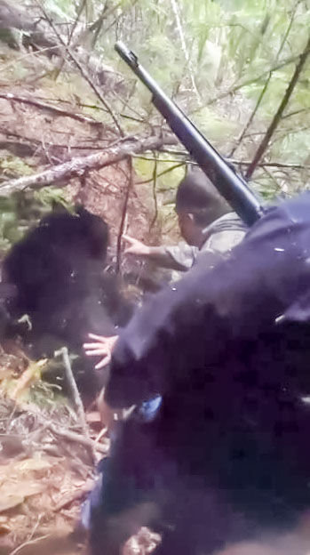 Eddy Dills reaches out to touch the eyeball of a recently poached bear outside of Randle on Aug. 29, 2015 in order to determine if the animal is dead. Joseph Dills, son of Eddy, is seen in the foreground of the photograph holding a shotgun.