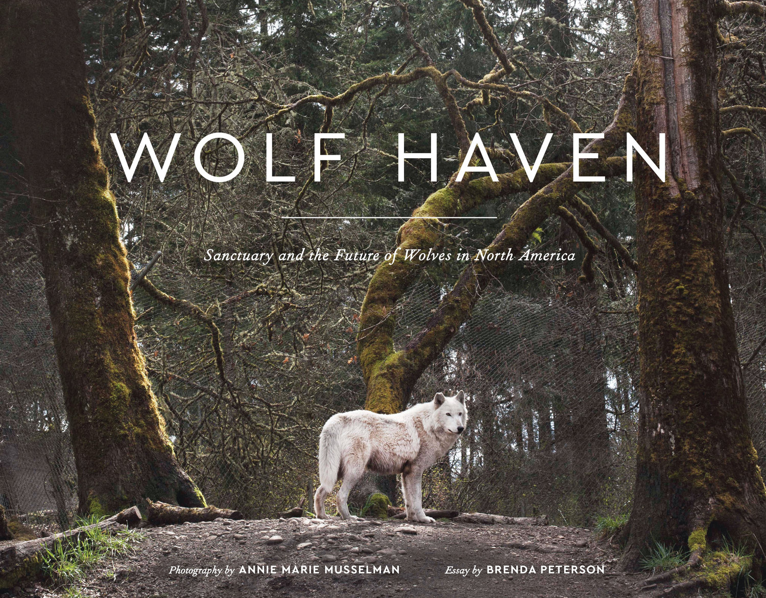Wolf Haven: Sanctuary and the Future of Wolves in North America
