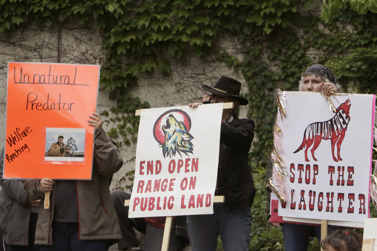 Opponents of the state's decision to eradicate a wolf pack in order to protect cattle protest outside of the Washington Department of Fish and Wildlife, Thursday, Sept. 1, 2016, in Olympia, Wash. So far, six of the 11 members of the Profanity Peak pack have been killed. 