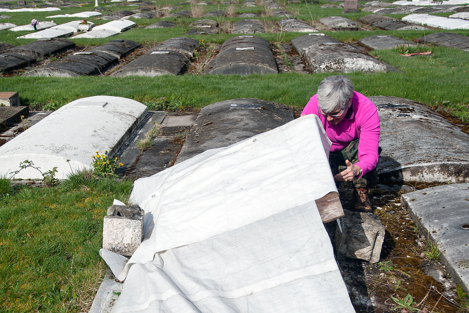 Jennifer Duncan, a caretaker at Greenwood Cemetery, looks under a tarp that was covering a burial plot at the Centralia cemetery on Wednesday morning.