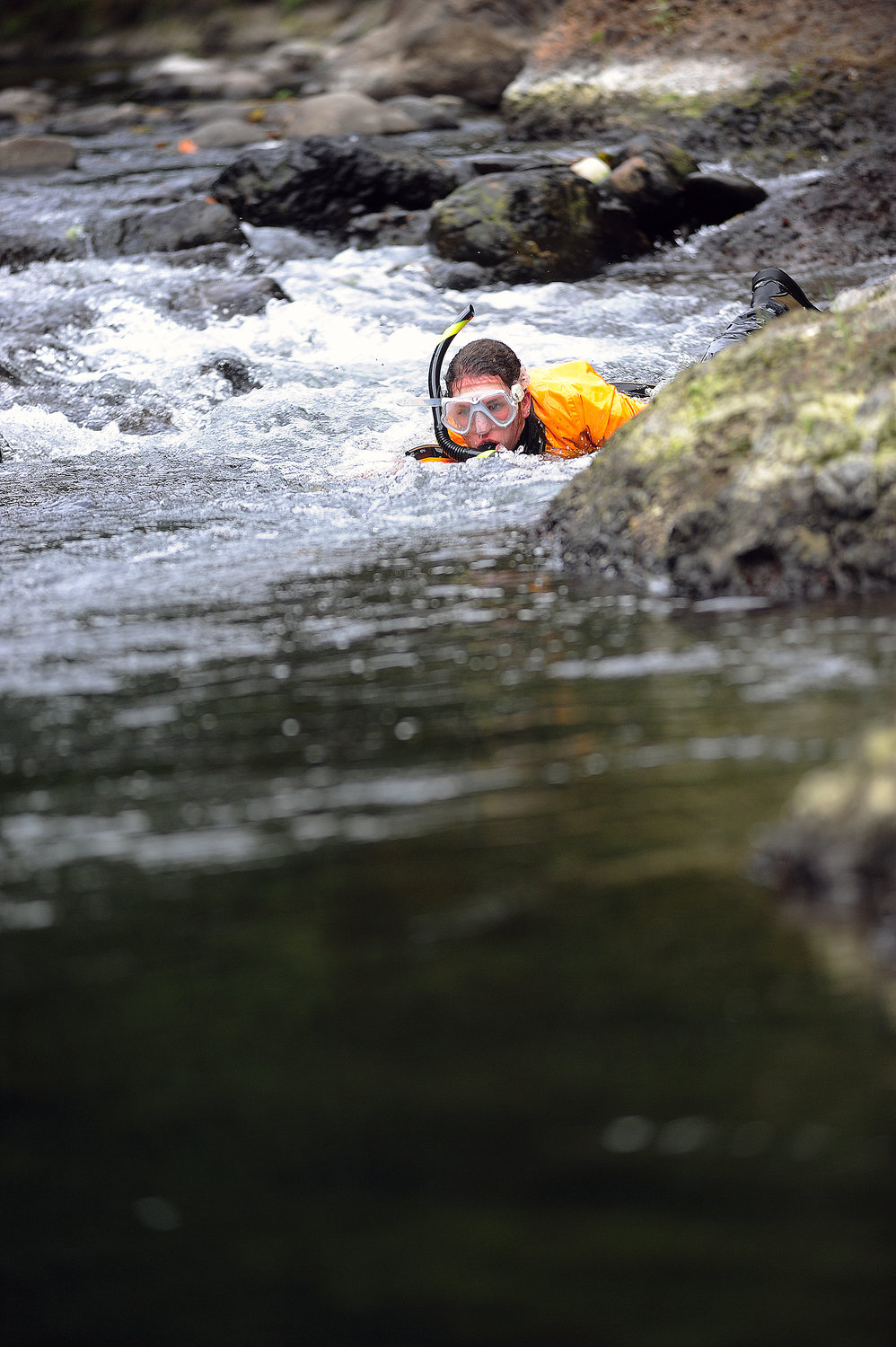 Amy Edwards of the Washington Department of Fish and Wildlife maneuvers her way down a rocky portion of the Chehalis River as she inventories wildlife in the river on Monday outside Pe Ell.