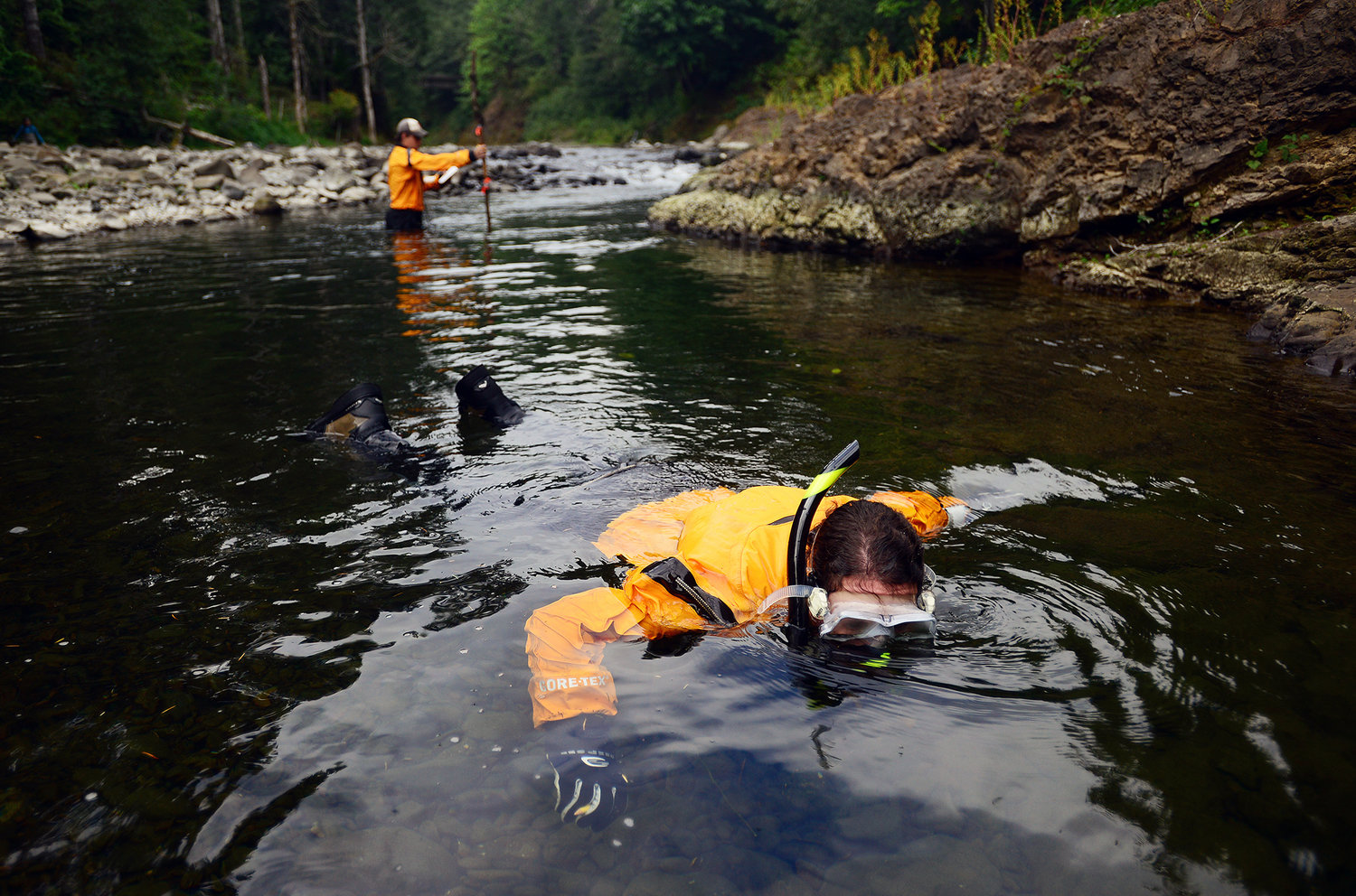 Washington Department of Wildlife employees Matt Hobin, left, and Amy Edwards conduct a survey of the Chehalis River near Pe Ell in August 2013. 