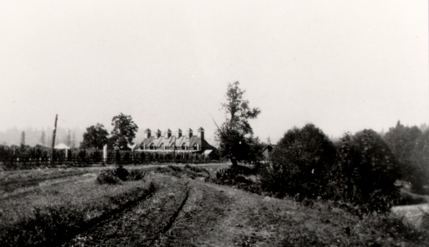 This photo from Hazel Duncan's collection shows the approach to the Klaber hopyard and dry kiln about 1912.