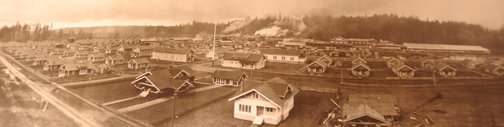 Onalaska, seen during its glory days in this photo that hangs in
the high school library, was a company town of trim houses and
tremendous industrial output. After the mill was shut down in 1942,
most of the town’s houses were hauled away to nearby farms. Many
are still being used today.