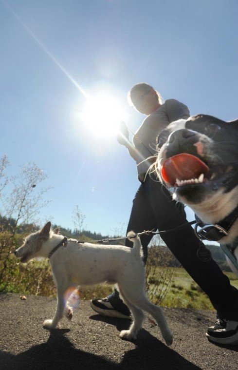 Leesa Holmquist of Adna walks on the Willapa Trail in Chehalis Thursday with her Jack Russell terrier Jack and her Boston terrier Benny. "This trail is a godsend," Holmquist said.