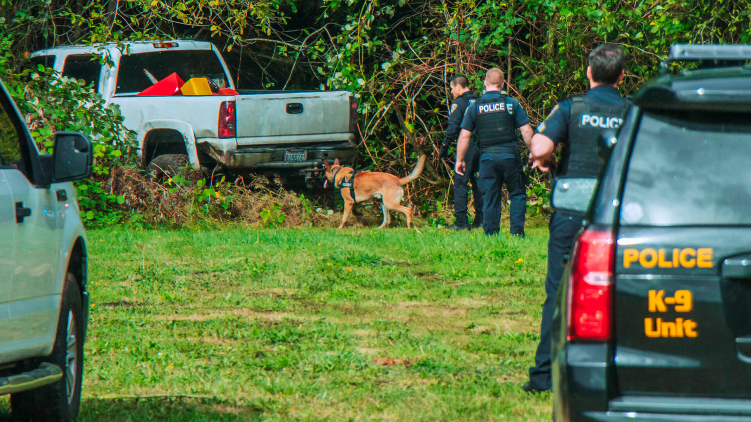 FILE PHOTO — Ruben Ramirez and his K-9 partner Pax investigate the scene of a crashed stolen vehicle in September. 