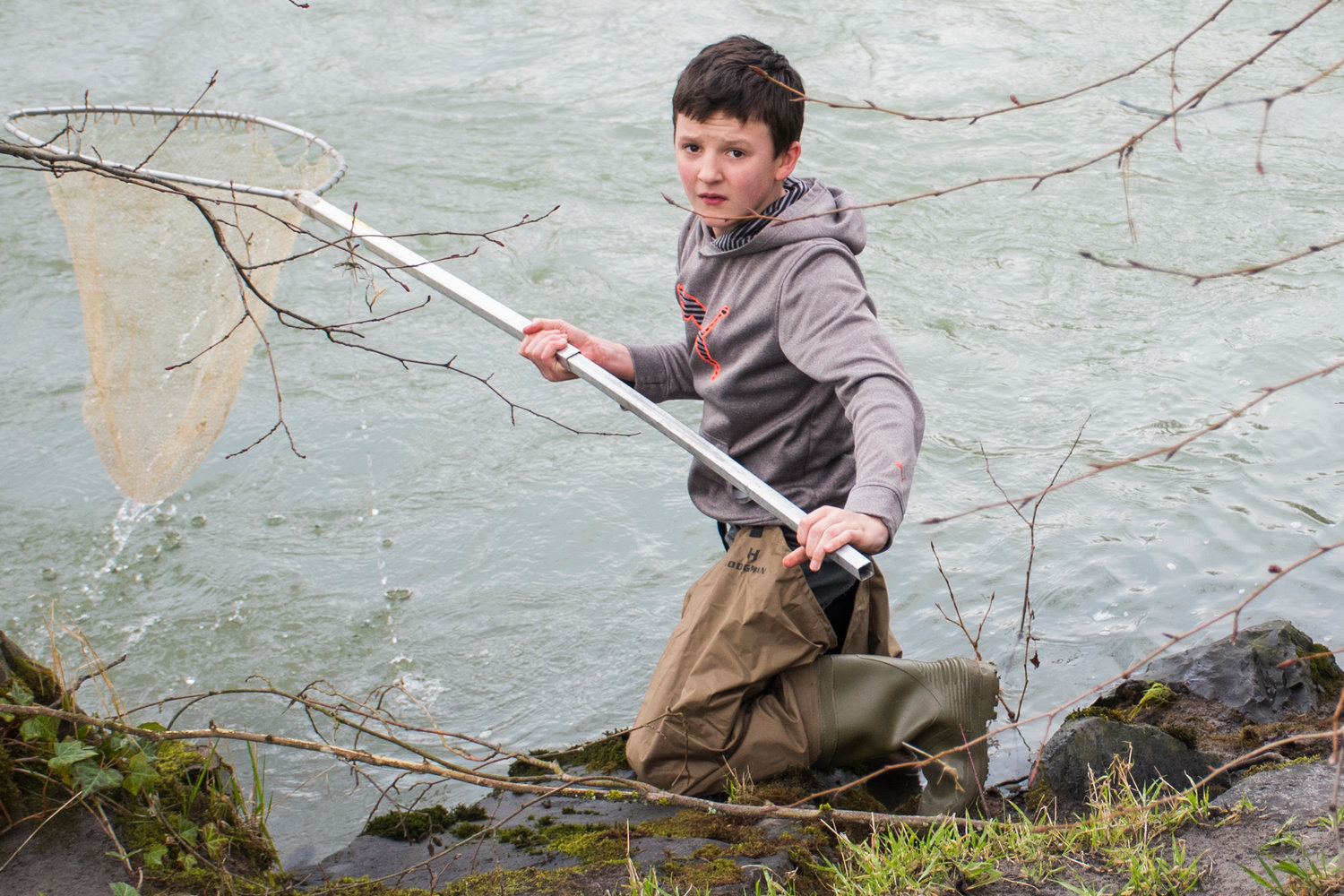 David hunts for smelt along a bank of the Cowlitz River in Castle Rock last year. 