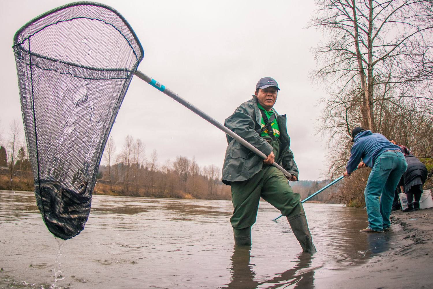 Andrew Long holds up a net full of fish during a smelt dip along the Cowlitz River in Castle Rock on Tuesday.