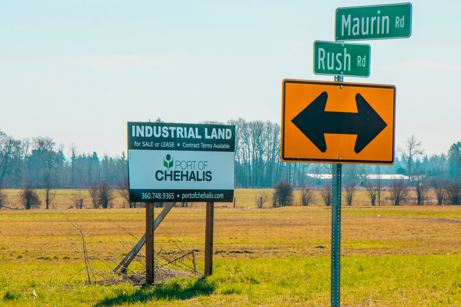 Land located on Rush Road is seen on Friday in Chehalis.