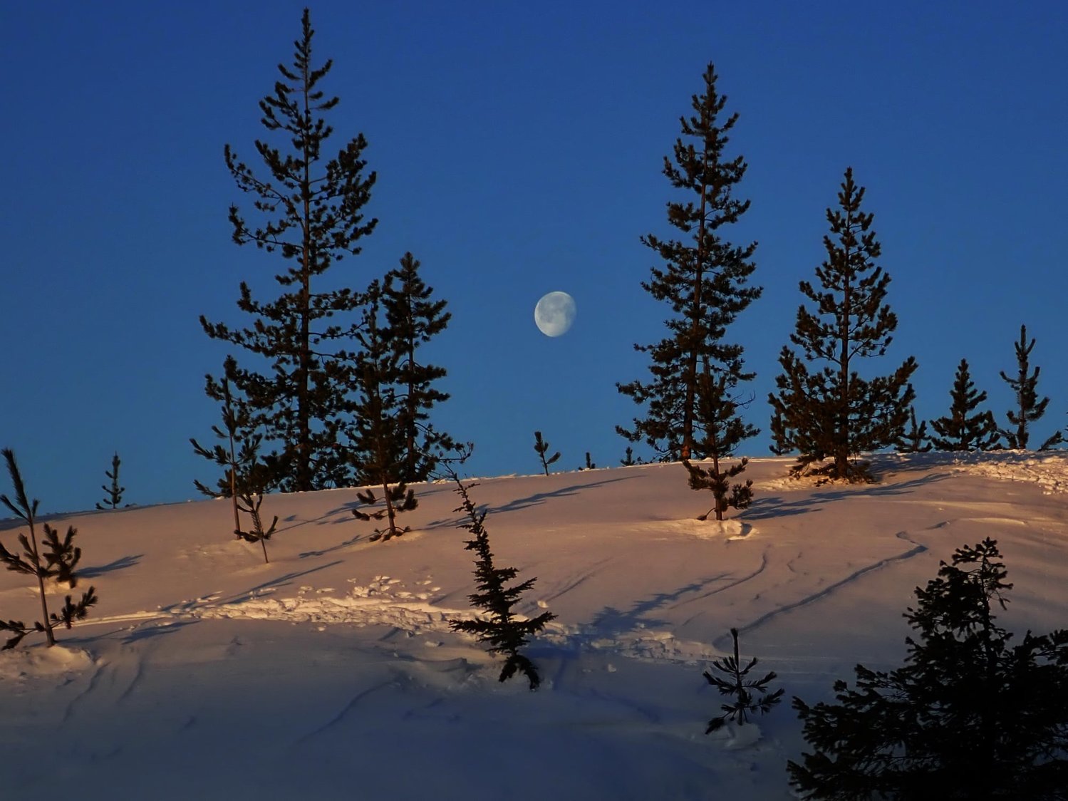 The moon rises over a ridge during Centralia resident Neal Kirby’s March 31 hike of Mount St. Helens.