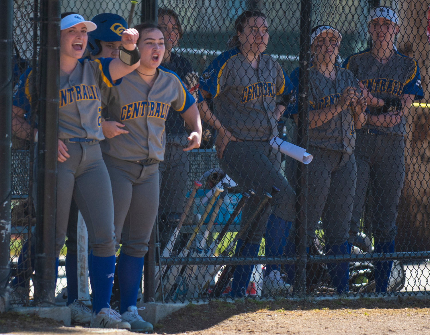 Centralia College players cheer from the dugout during their game against Lower Columbia on Monday.