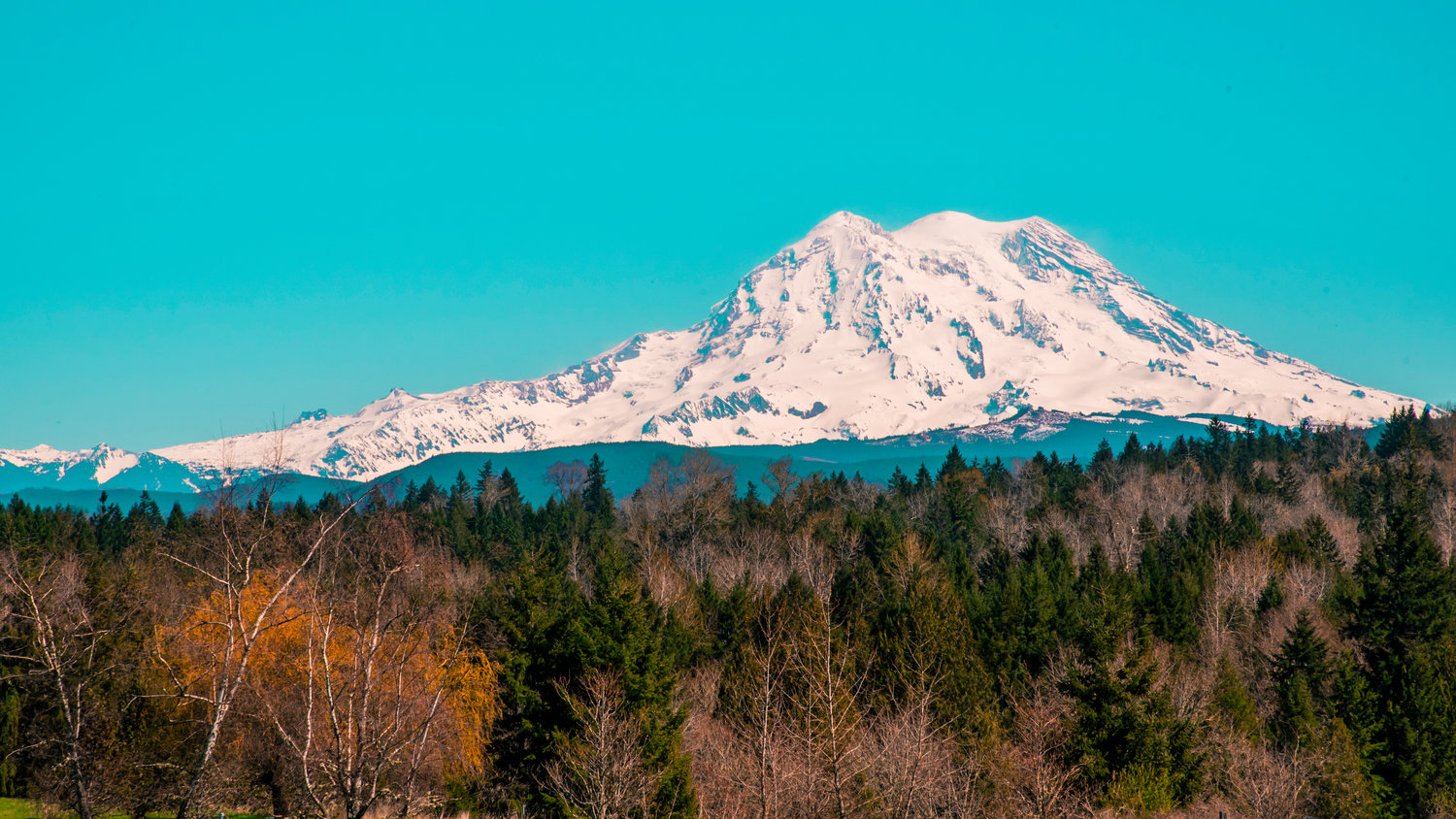 Mount Rainier is seen from in Eatonville on Tuesday.