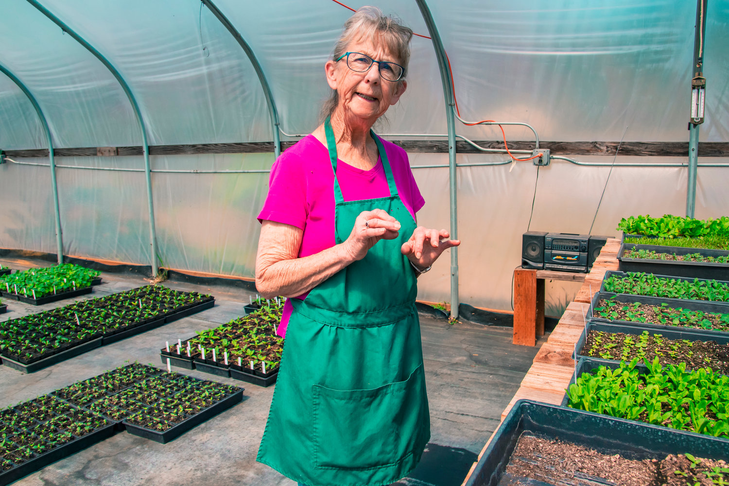 Thelma Hauge talks about the various plants stored in a greenhouse at the Blueberry Hill Nursery Tuesday afternoon in Vader.
