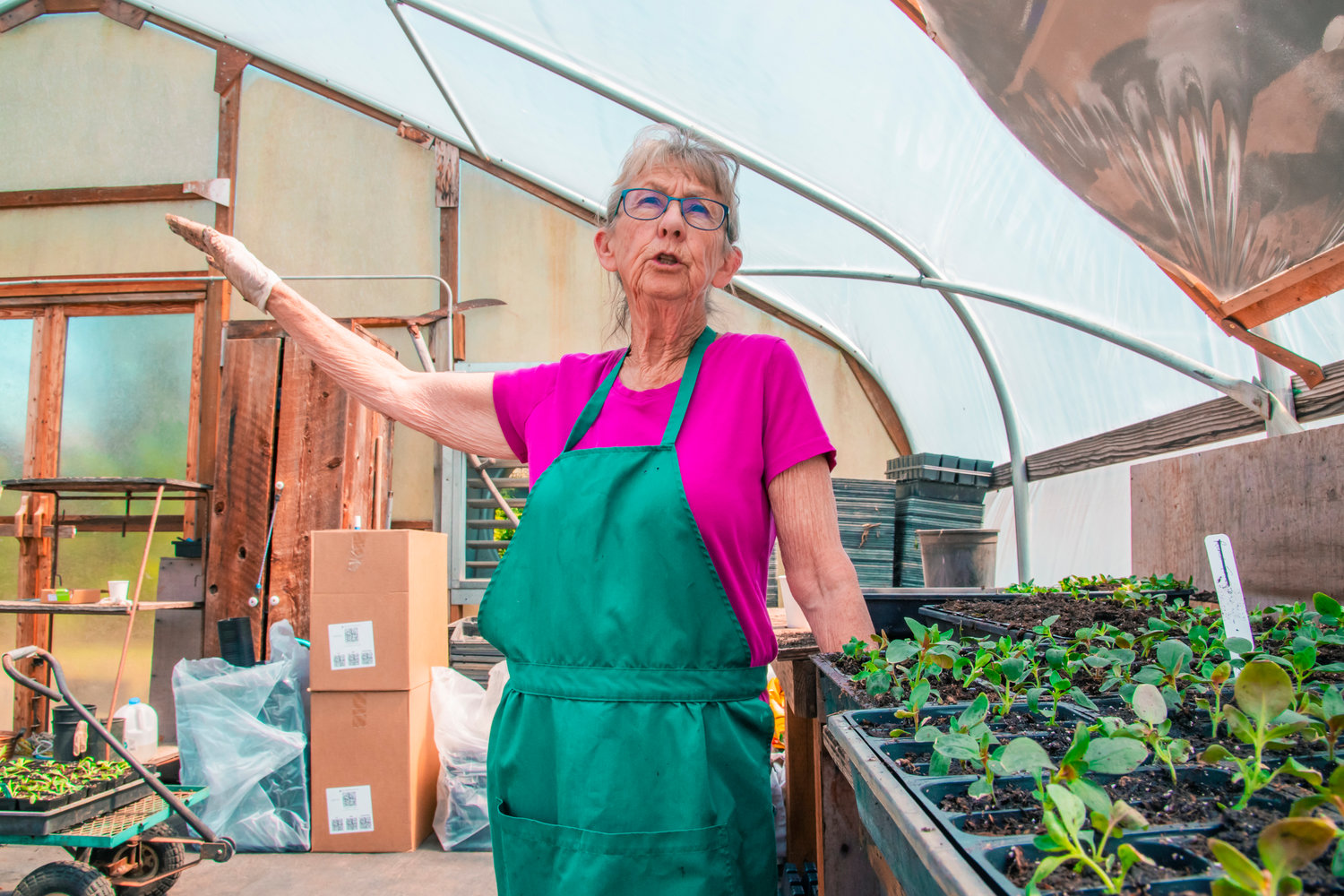 Thelma Hauge talks about working in the greenhouse at the Blueberry Hill Nursery Tuesday afternoon in Vader.