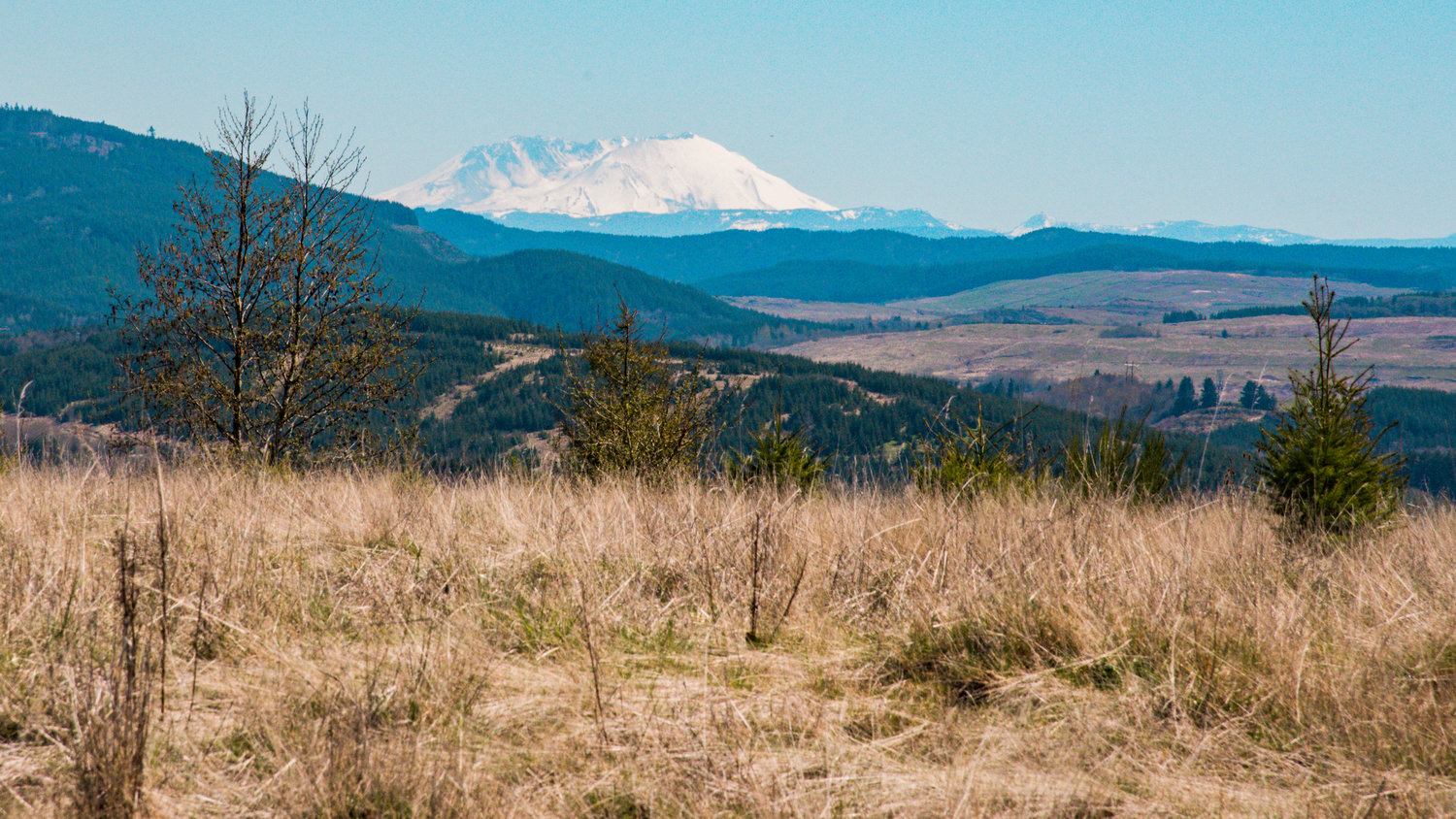 Mount St. Helens sets the backdrop looking over TransAlta Centralia property earlier this year.