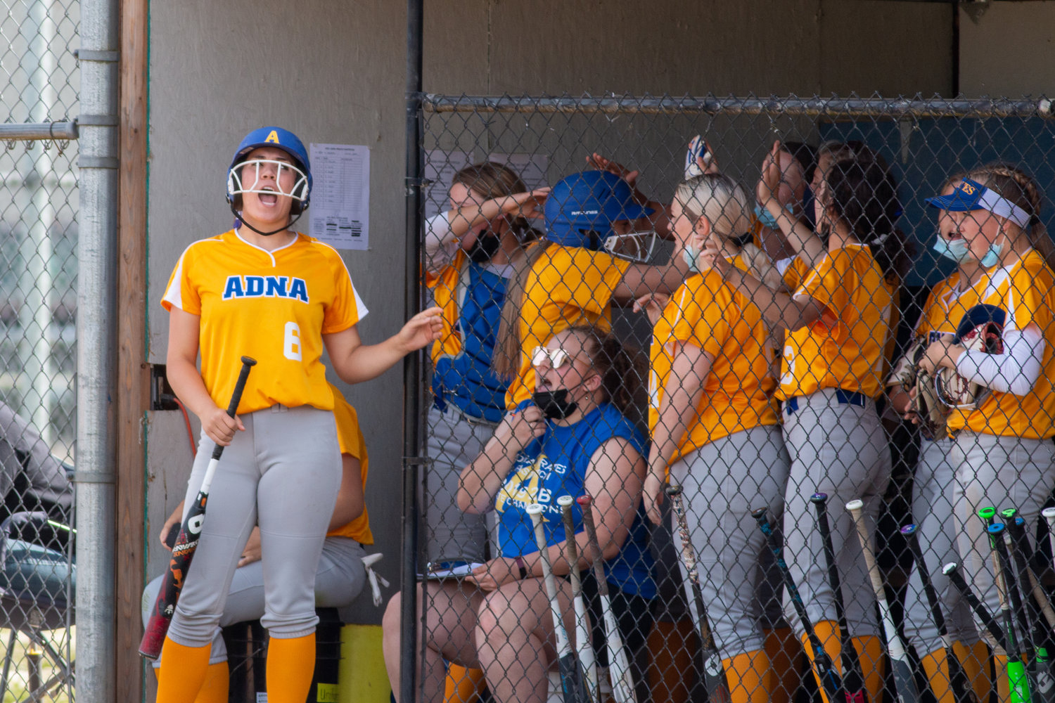 Adna players celebrate from the dugout during the Pirates win over Ocosta in the district semifinals Thursday.