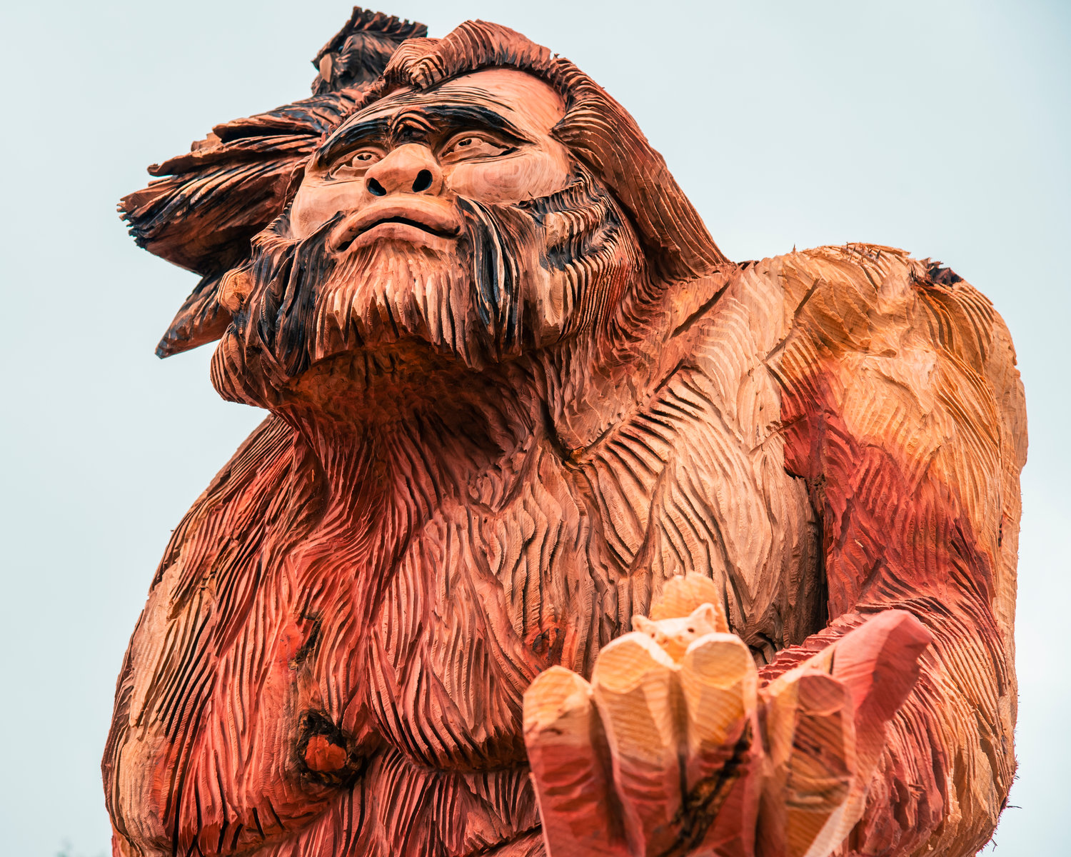 A 17-foot Sasquatch carved with chainsaws into a sequoia also features squirrel and owl carvings Sunday in downtown Oakville.