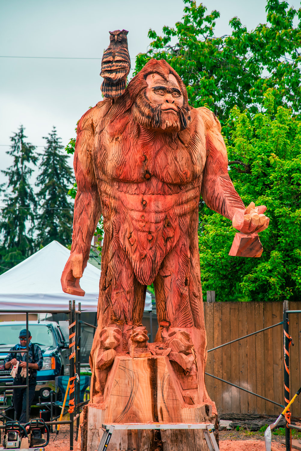 A 17-foot Sasquatch carved with chainsaws into a sequoia 7-feet in diameter is seen Sunday in downtown Oakville.