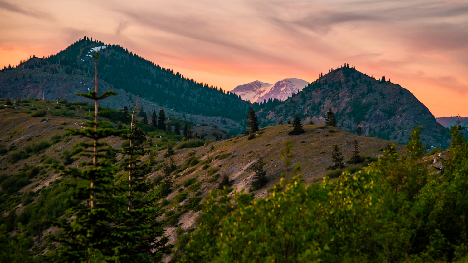 Mount Rainier peaks over hills at sunset seen from the Gifford Pinchot National Forest on Thursday.