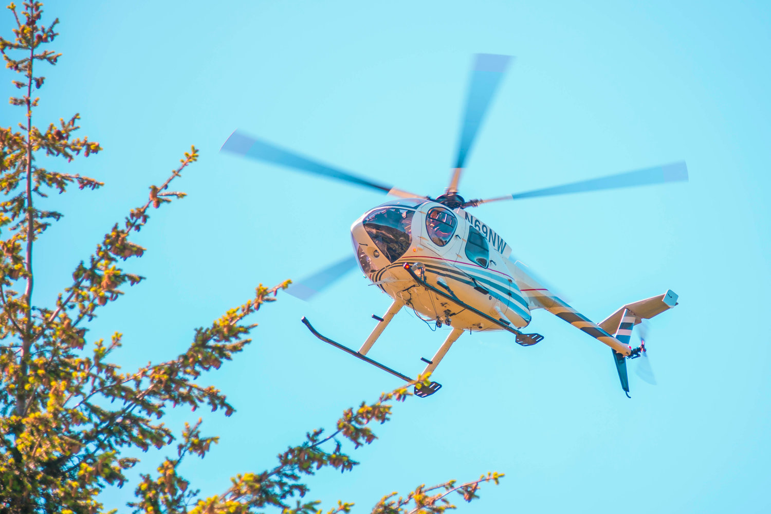 A helicopter flies over trees as the pilot looks to the landing zone near the High Rock Lookout trailhead on Tuesday.