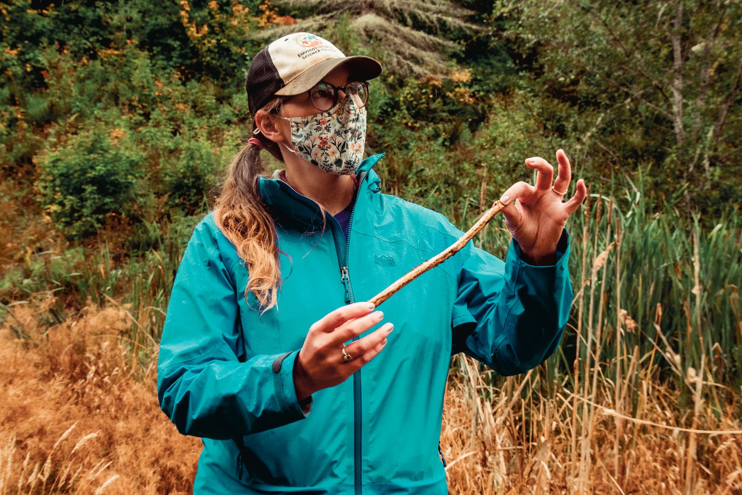 Elyssa Kerr, with Beavers Northwest, holds up a stick with the bark chewed off near a beaver dam location in Rochester.