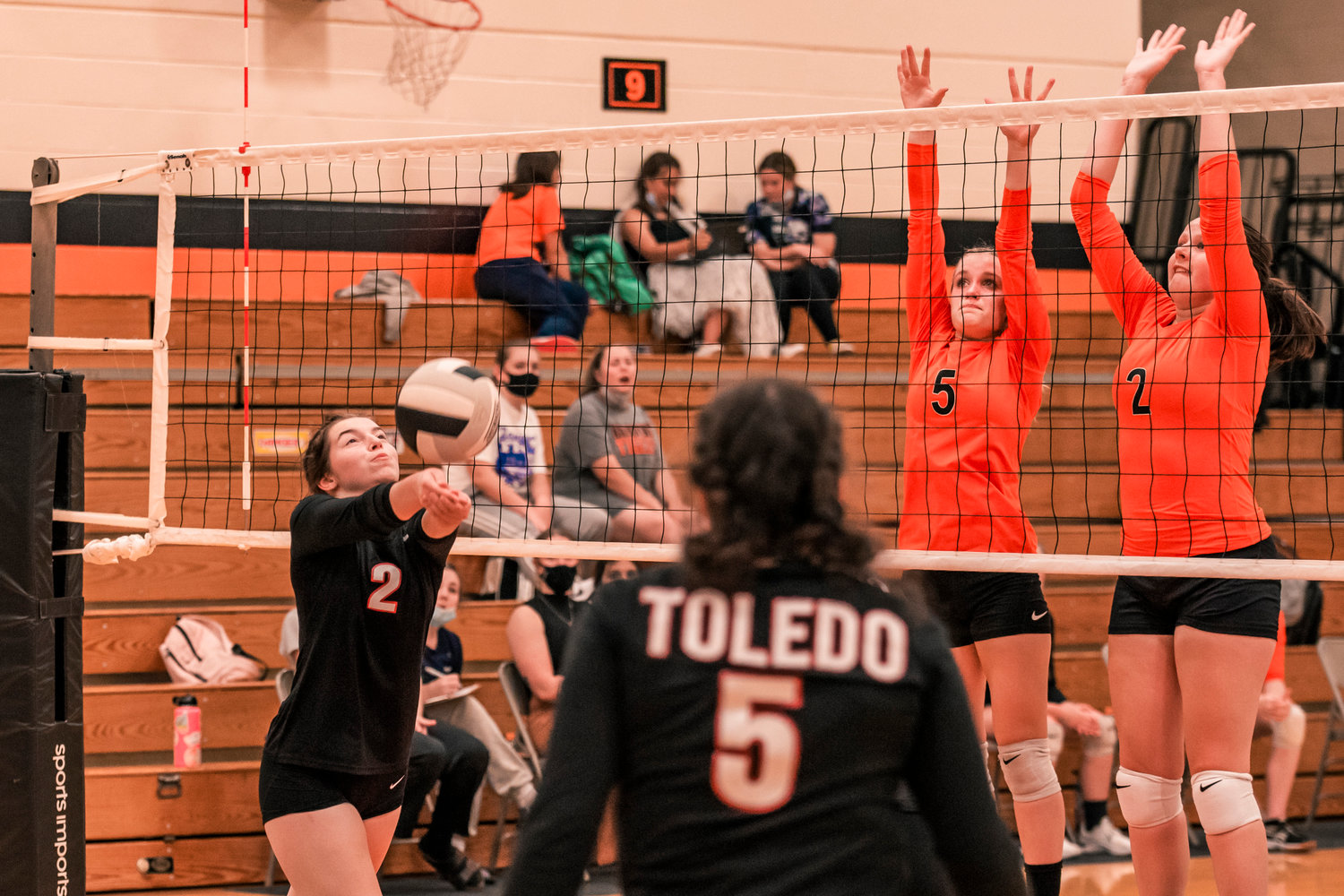 Toledo’s Aleena Bloomstrom (2) tries to hit the ball over the net during a match against Napavine Tuesday night.