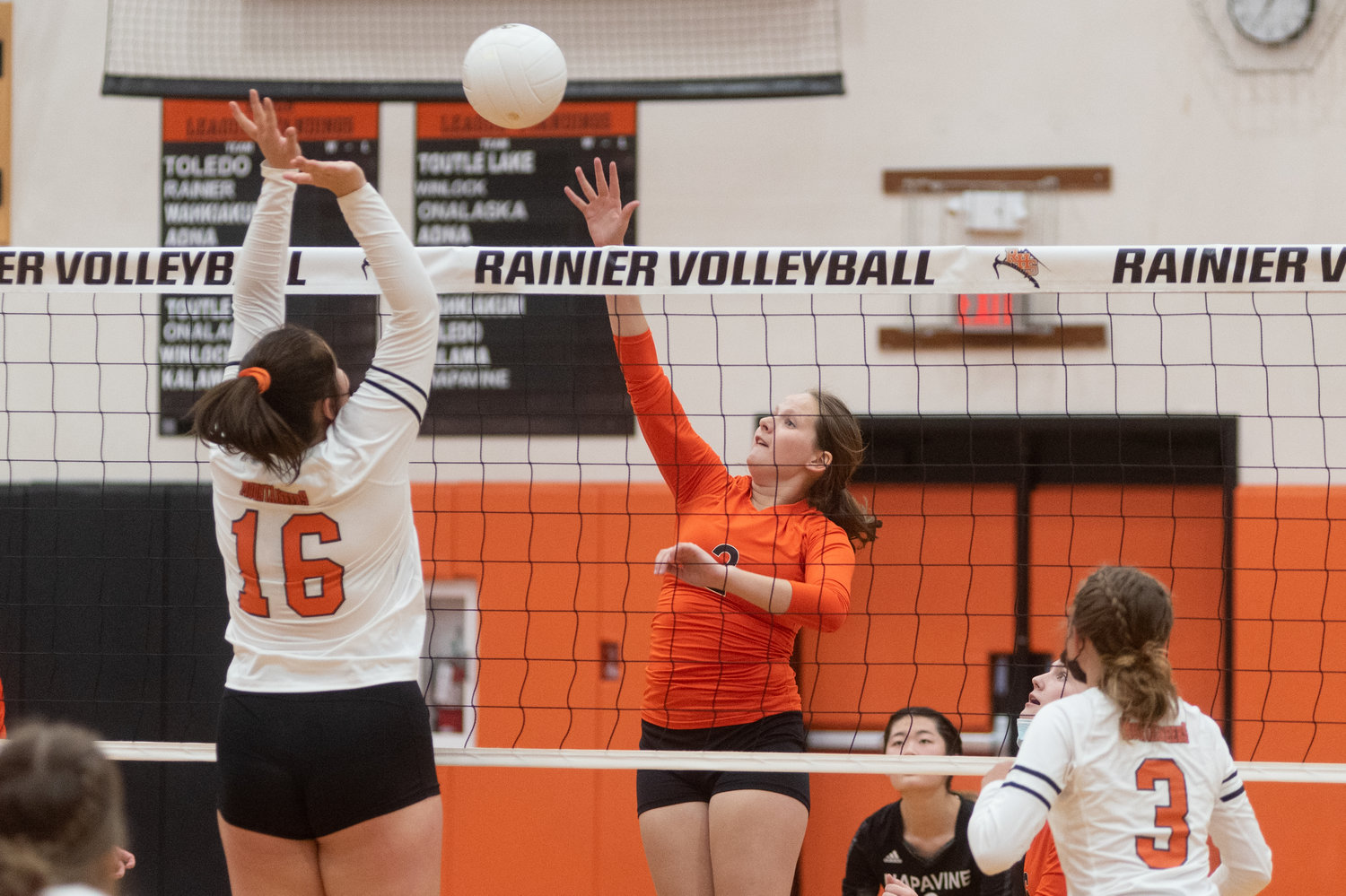 FILE PHOTO -- Napavine sophomore Anna Thompson attempts a spike in the Tigers match against Rainier Sept. 27.