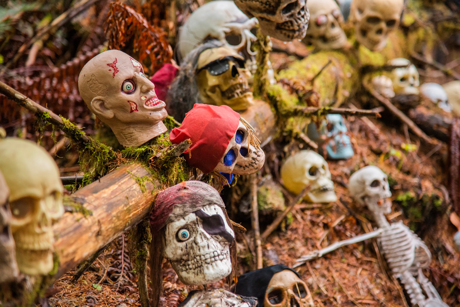 Skulls and ghouls decorate the haunted forest at The Huntting’s Farm in Cinebar Wednesday afternoon.