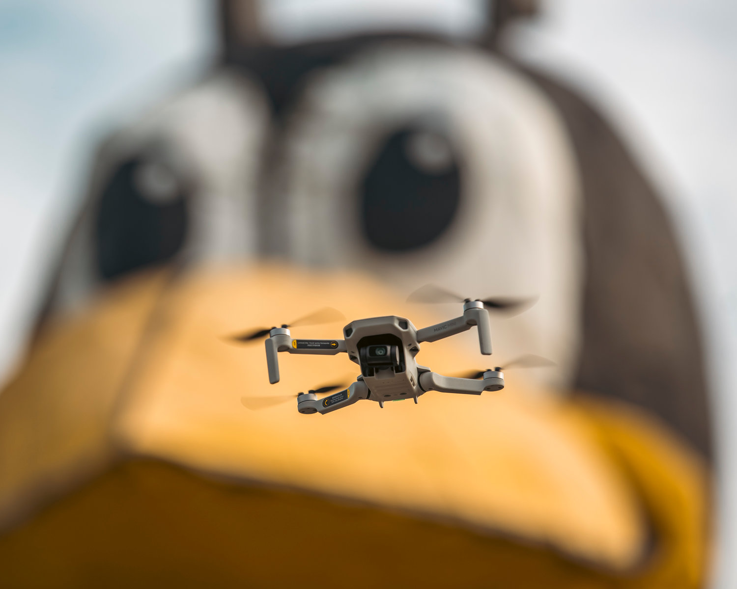 A drone flies by the Yard Bird in Chehalis Wednesday morning.
