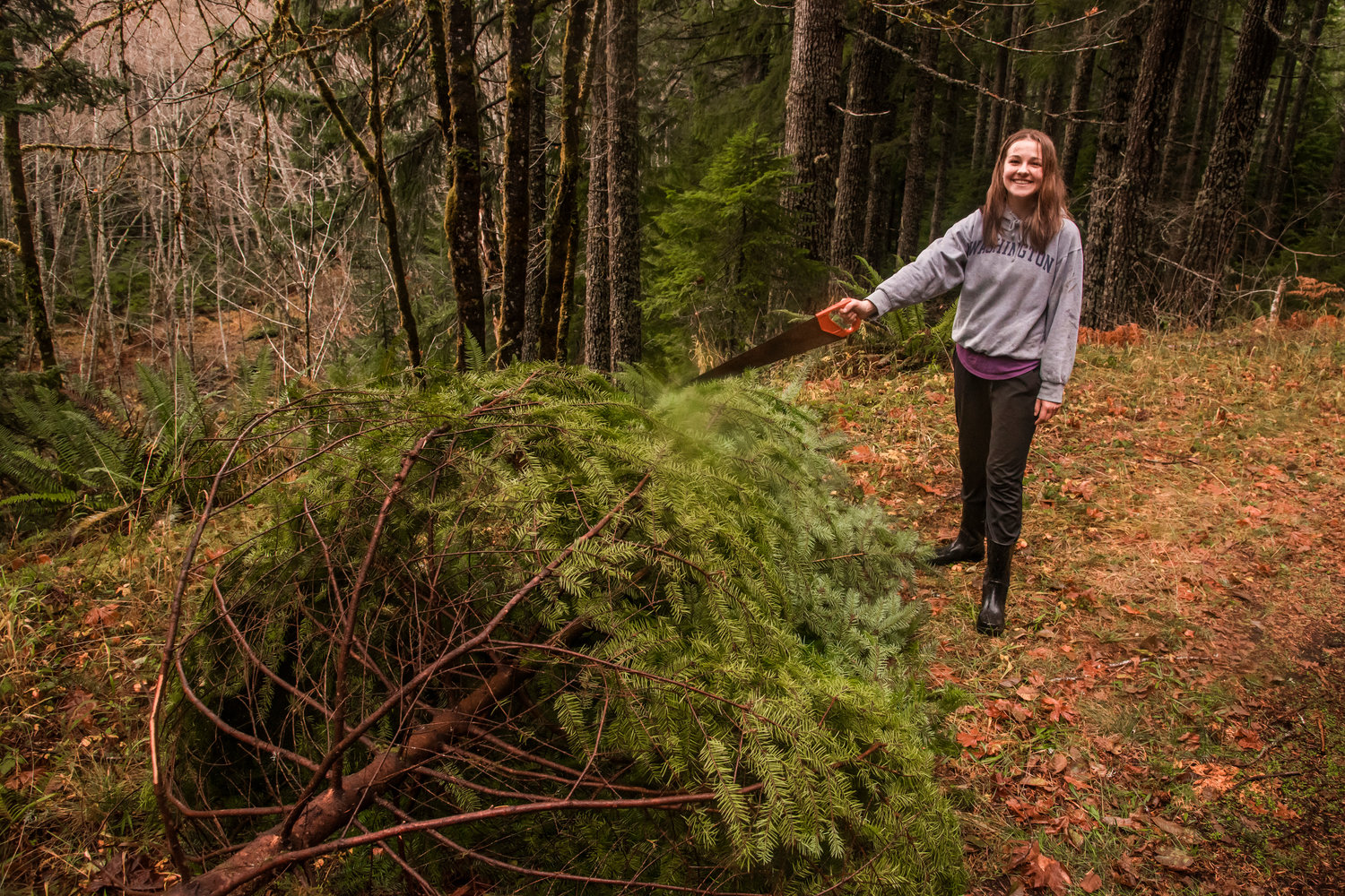 Chronicle Reporter Isabel Vander Stoep smiles and points to a sizeable Christmas Tree with her saw after carrying it up a hill Tuesday in the Gifford Pinchot National Forest.