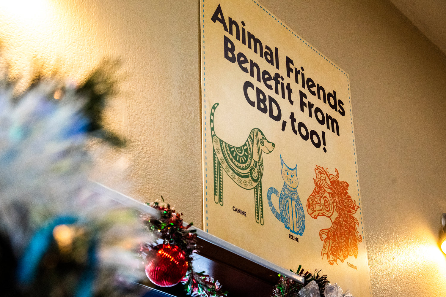 Signage inside Chehalis CBD talks about animals that can benefit from taking CBD.