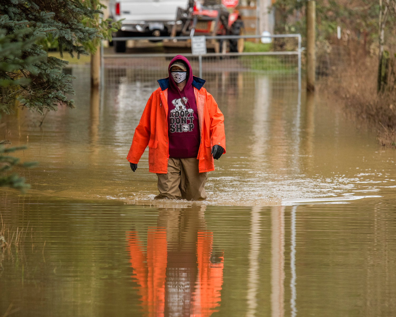 Misspits Rescue owner and founder Melissa Nolan, who lives along the Black River, walks through flood water Monday.