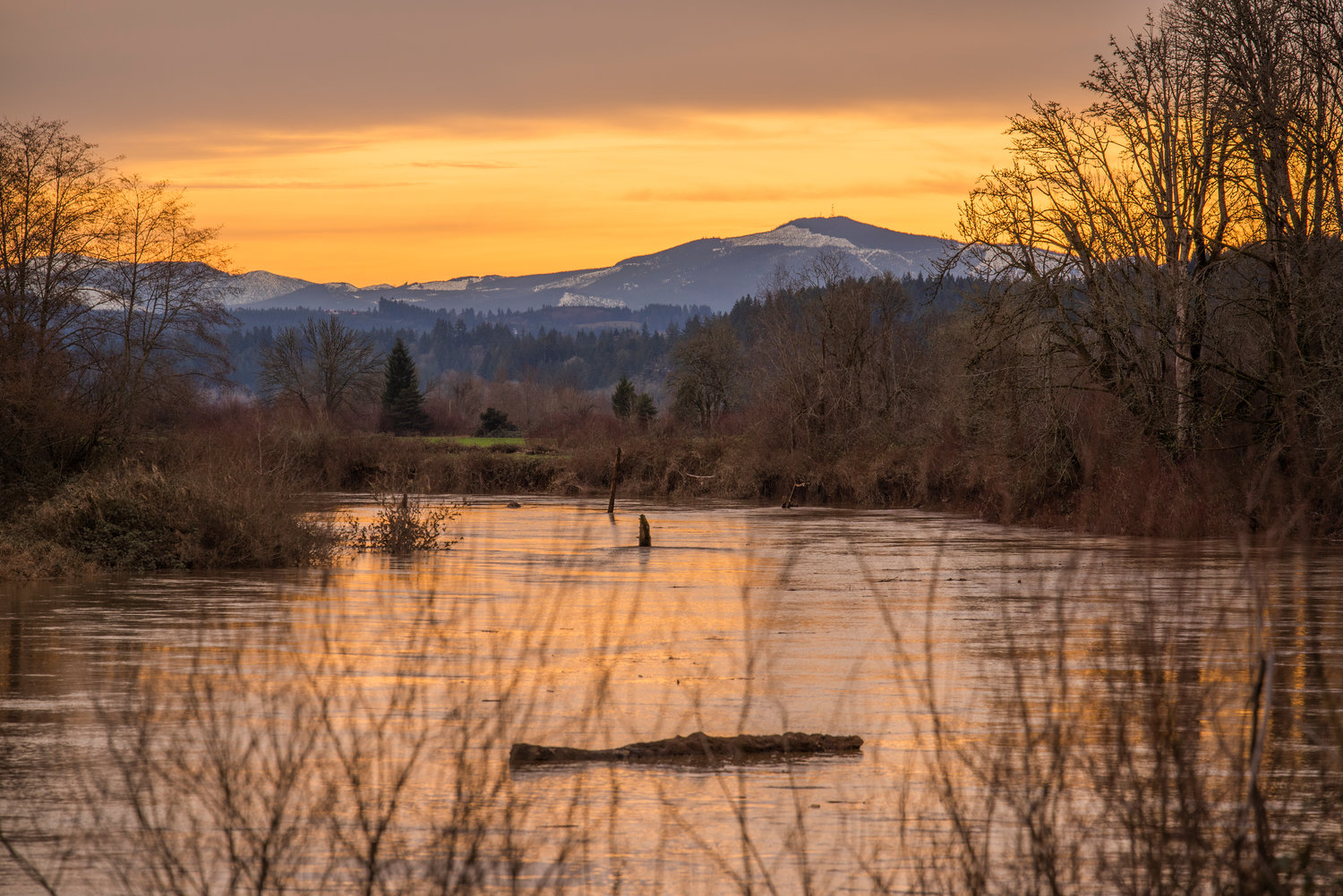 Reflections of light are seen in the Chehalis River as the sun sets behind the Willapa Hills Jan. 11.