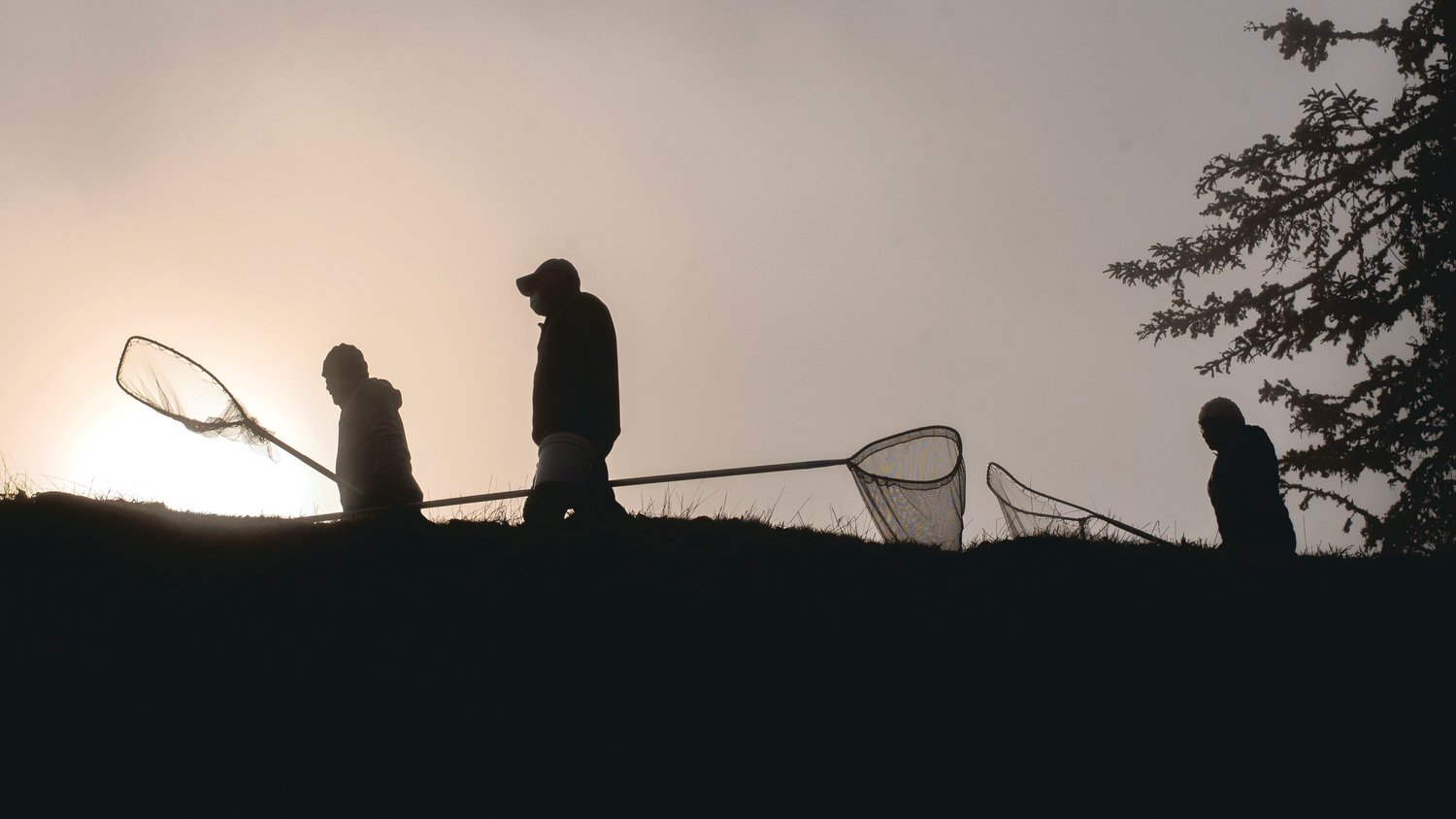 Sun shines through fog on anglers carrying nets and buckets alongside the Cowlitz River in Castle Rock in 2022.