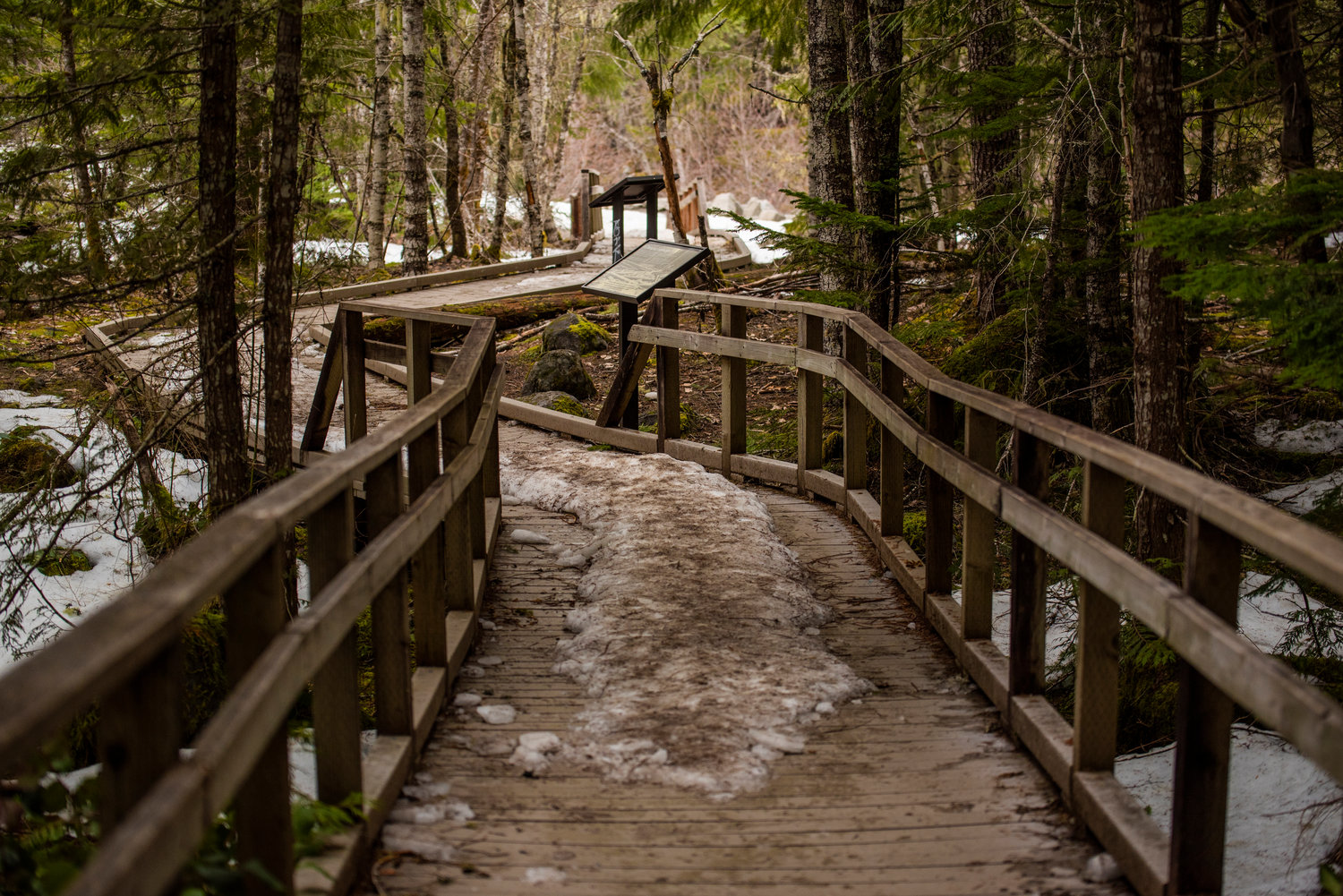 Snow covers walkways along the Kautz Creek Nature Trail in Mount Rainier National Park on Thursday.