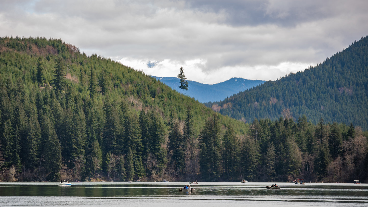 Boats travel across water during the Mineral Lake Fishing Derby on Saturday.