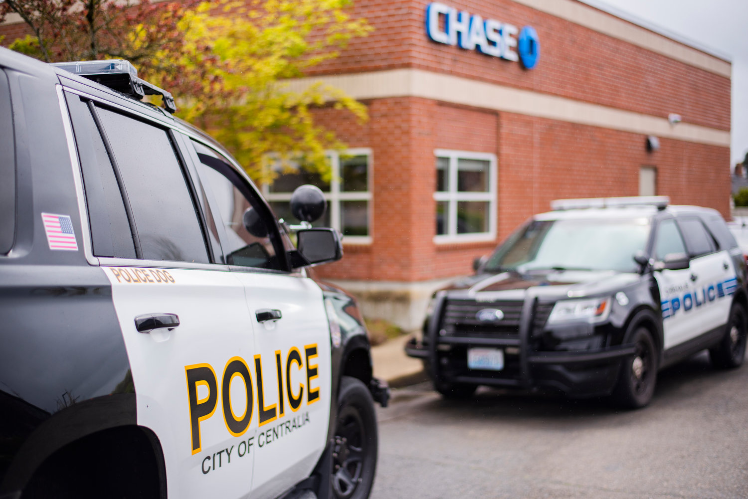Police vehicles park as K-9 units and officers search for a suspect outside of Chase Bank in Chehalis Friday afternoon.